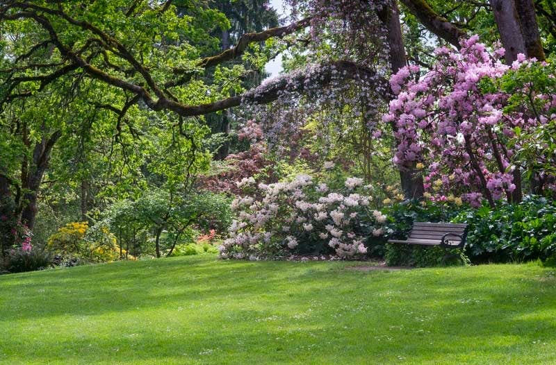 Park-in-Eugene-Oregon