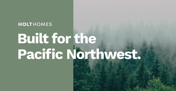 Pine trees in Pacific Northwest