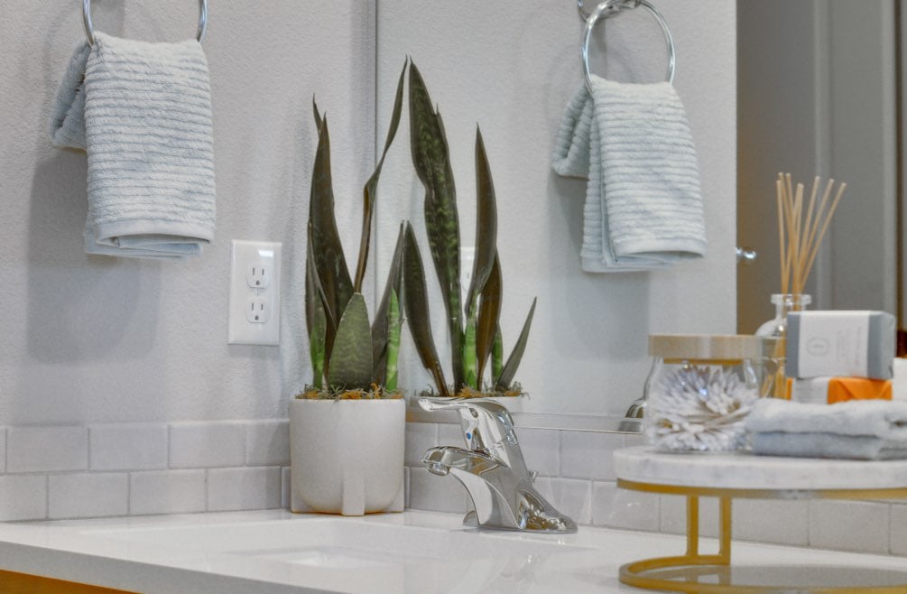 Plant on bathroom counter in new model home