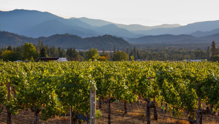 shutterstock_1258674166