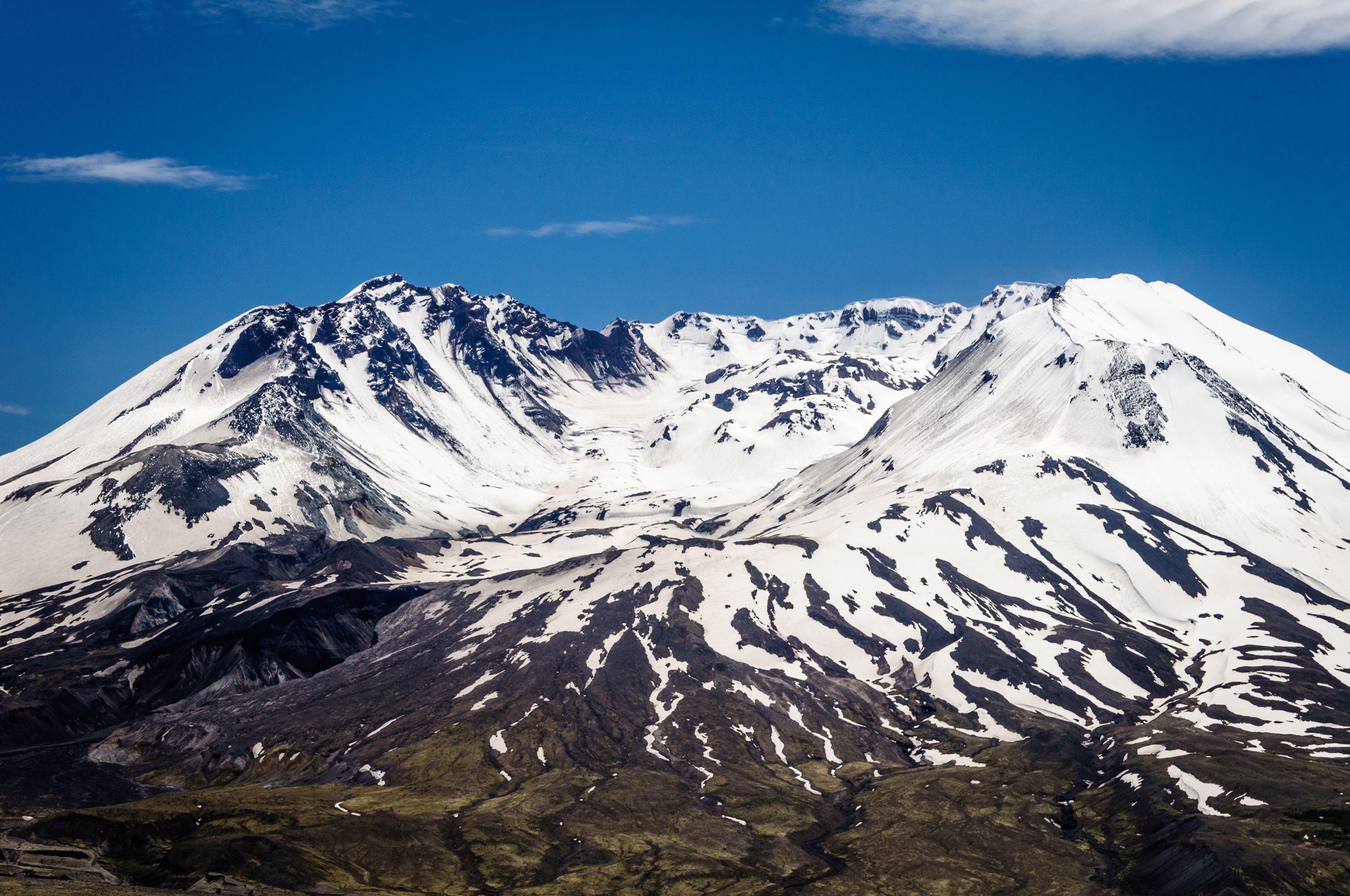 shutterstock_2334223829