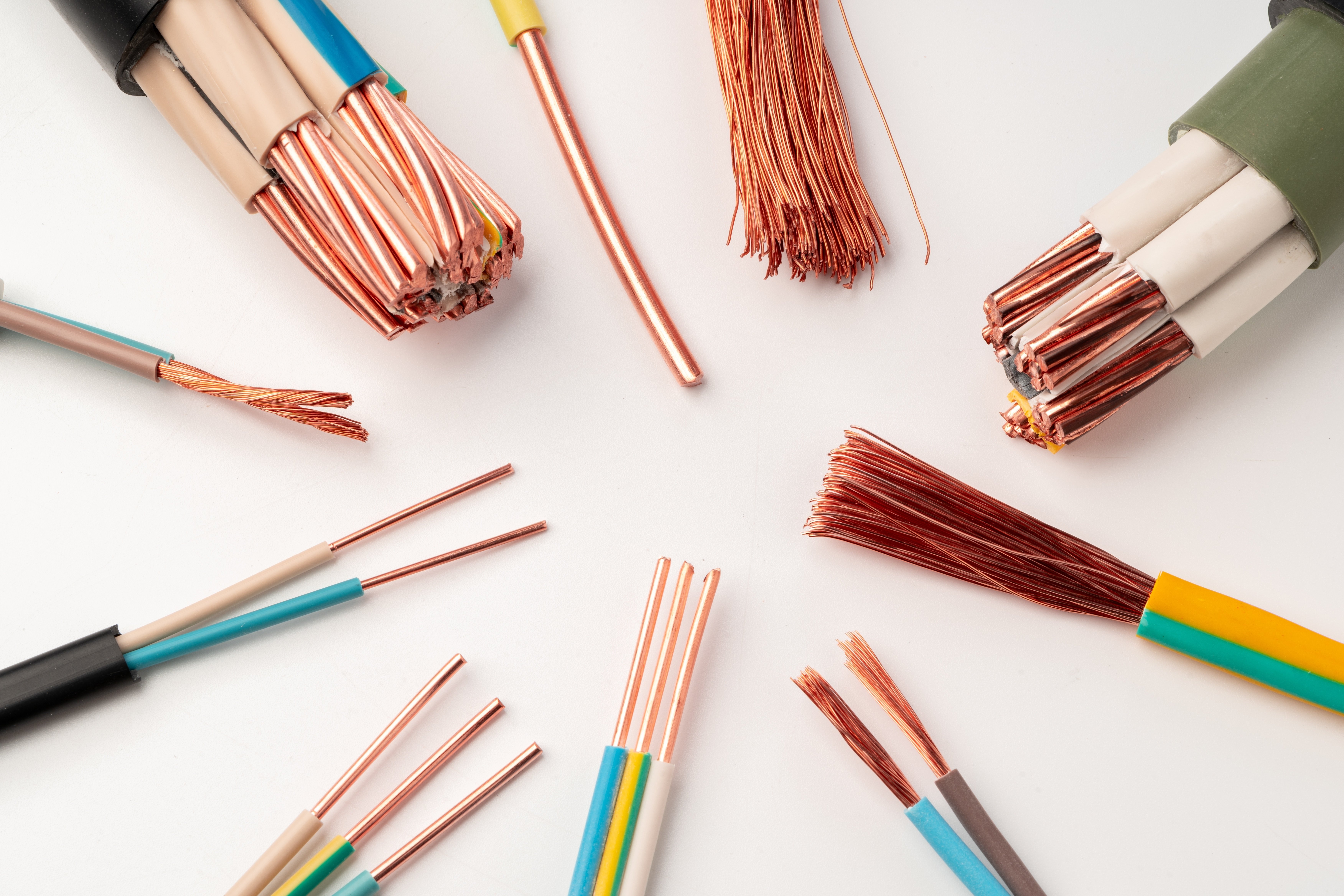 shutterstock_2486558099